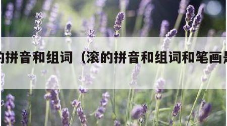 滚的拼音和组词（滚的拼音和组词和笔画是什么）