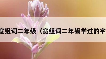 宽组词二年级（宽组词二年级学过的字）