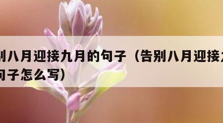 告别八月迎接九月的句子（告别八月迎接九月的句子怎么写）