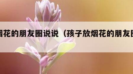 放烟花的朋友圈说说（孩子放烟花的朋友圈说说）