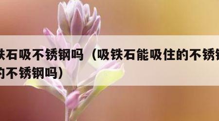 吸铁石吸不锈钢吗（吸铁石能吸住的不锈钢是真的不锈钢吗）