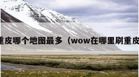 重皮哪个地图最多（wow在哪里刷重皮）