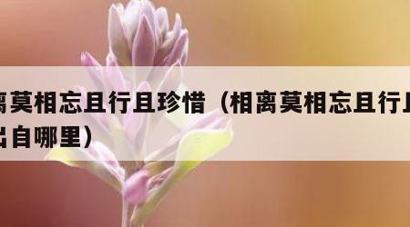 相离莫相忘且行且珍惜（相离莫相忘且行且珍惜出自哪里）