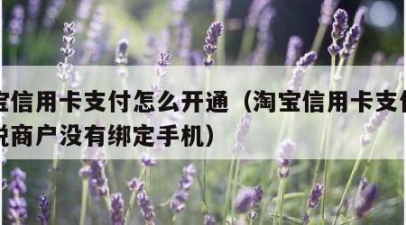 淘宝信用卡支付怎么开通（淘宝信用卡支付开通说商户没有绑定手机）