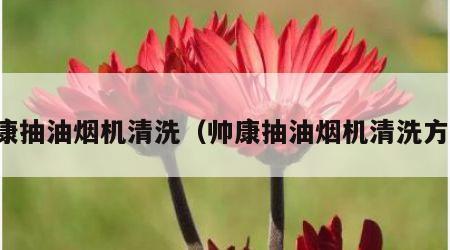 帅康抽油烟机清洗（帅康抽油烟机清洗方法）