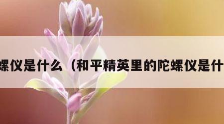 陀螺仪是什么（和平精英里的陀螺仪是什么）