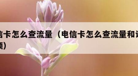 电信卡怎么查流量（电信卡怎么查流量和话费余额）