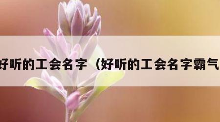 好听的工会名字（好听的工会名字霸气）