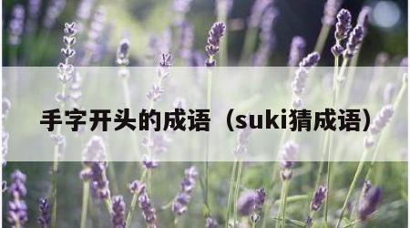 手字开头的成语（suki猜成语）