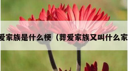 葬爱家族是什么梗（葬爱家族又叫什么家族）