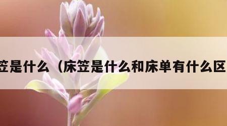 床笠是什么（床笠是什么和床单有什么区别）