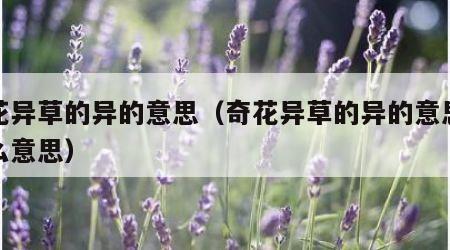 奇花异草的异的意思（奇花异草的异的意思是什么意思）