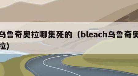 乌鲁奇奥拉哪集死的（bleach乌鲁奇奥拉）