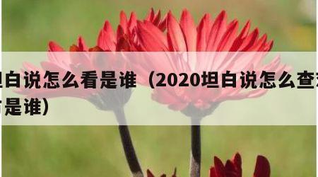 坦白说怎么看是谁（2020坦白说怎么查对方是谁）