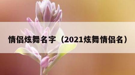 情侣炫舞名字（2021炫舞情侣名）