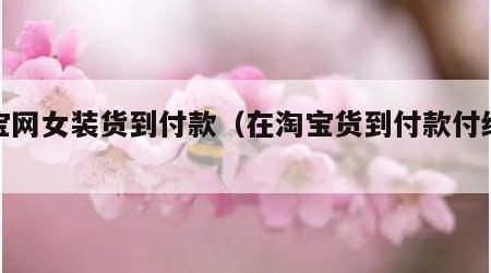 淘宝网女装货到付款（在淘宝货到付款付给谁?）