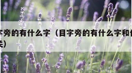 目字旁的有什么字（目字旁的有什么字和什么有关）