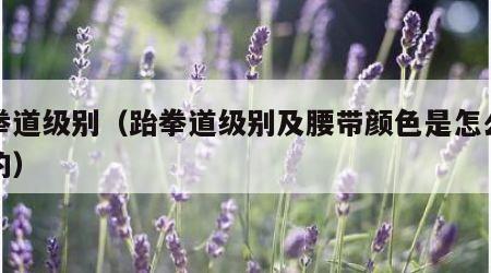 跆拳道级别（跆拳道级别及腰带颜色是怎么区分的）