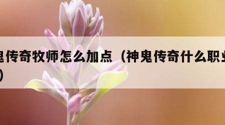 神鬼传奇牧师怎么加点（神鬼传奇什么职业厉害?）