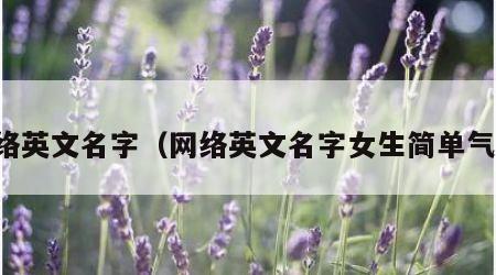 网络英文名字（网络英文名字女生简单气质）