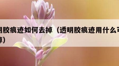 透明胶痕迹如何去掉（透明胶痕迹用什么可以擦掉）