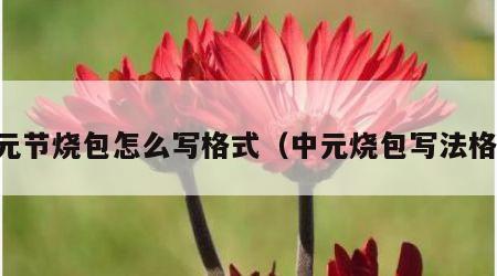 中元节烧包怎么写格式（中元烧包写法格式）