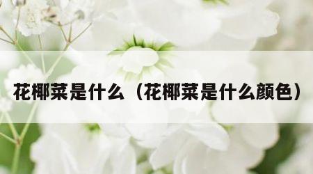 花椰菜是什么（花椰菜是什么颜色）