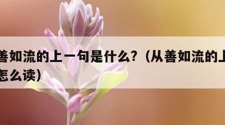 从善如流的上一句是什么?（从善如流的上一句怎么读）