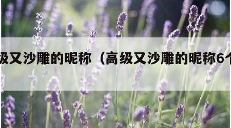 高级又沙雕的昵称（高级又沙雕的昵称6个字）