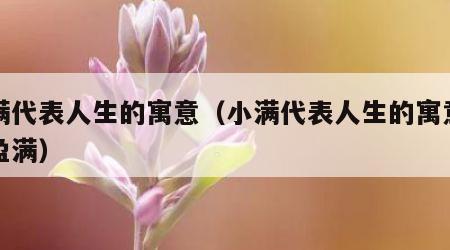 小满代表人生的寓意（小满代表人生的寓意小得盈满）