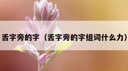 舌字旁的字（舌字旁的字组词什么力）