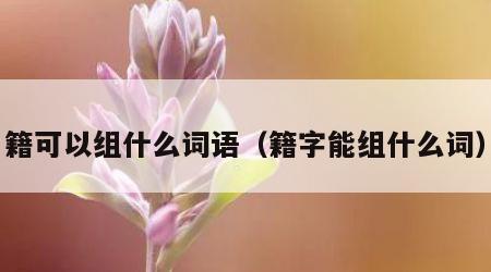 籍可以组什么词语（籍字能组什么词）