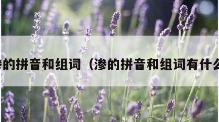 渗的拼音和组词（渗的拼音和组词有什么）