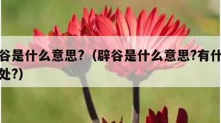 辟谷是什么意思?（辟谷是什么意思?有什么好处?）