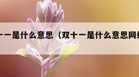 双十一是什么意思（双十一是什么意思网络用语）