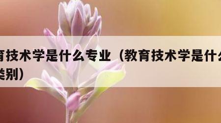 教育技术学是什么专业（教育技术学是什么专业类别）