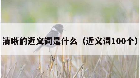 清晰的近义词是什么（近义词100个）