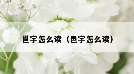 邕字怎么读（邑字怎么读）