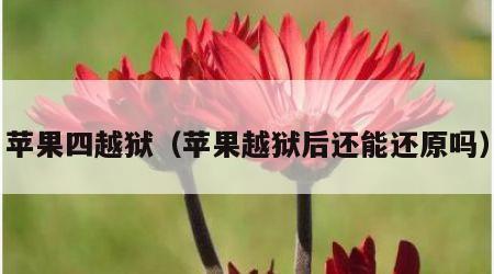 苹果四越狱（苹果越狱后还能还原吗）