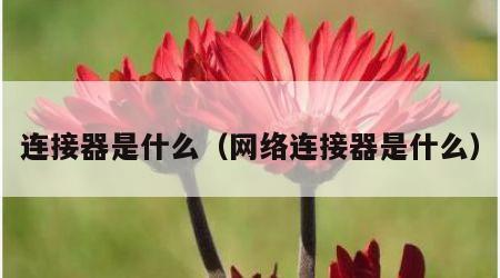 连接器是什么（网络连接器是什么）