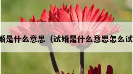 试婚是什么意思（试婚是什么意思怎么试婚）