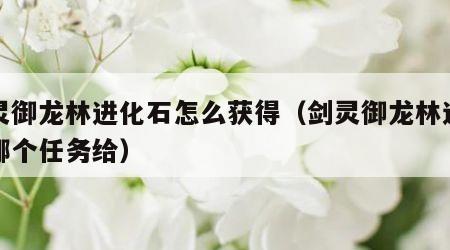 剑灵御龙林进化石怎么获得（剑灵御龙林进化石哪个任务给）