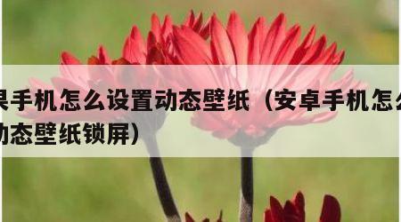 苹果手机怎么设置动态壁纸（安卓手机怎么设置动态壁纸锁屏）