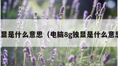 独显是什么意思（电脑8g独显是什么意思）