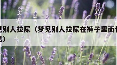 梦见别人拉屎（梦见别人拉屎在裤子里面什么意思）