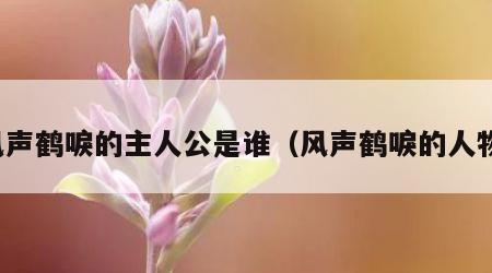 风声鹤唳的主人公是谁（风声鹤唳的人物）