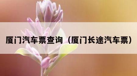 厦门汽车票查询（厦门长途汽车票）