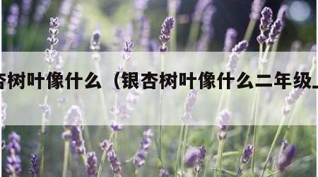 银杏树叶像什么（银杏树叶像什么二年级上册）