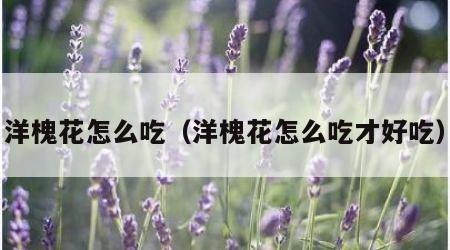 洋槐花怎么吃（洋槐花怎么吃才好吃）