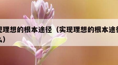 实现理想的根本途径（实现理想的根本途径是什么）